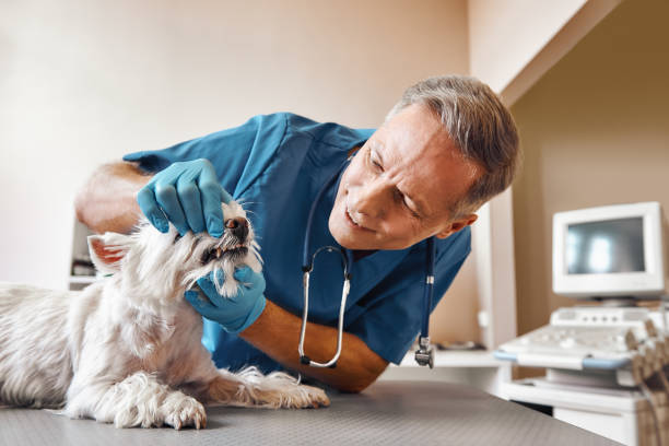 Best Weekend Emergency Dentist in Krum, TX