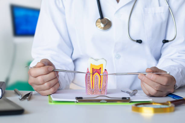 Best Emergency Dental Care for Broken or Chipped Teeth in Krum, TX